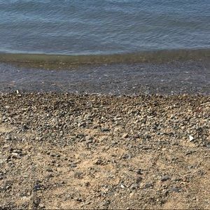 Meet your Posher, Lily